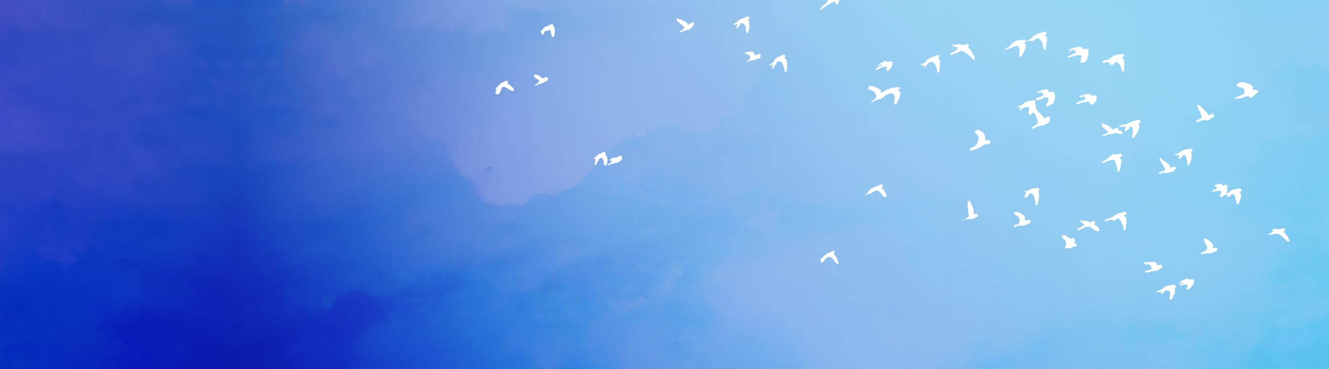 Satchel Royale アトリエ